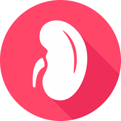 NEFROCASA division icon